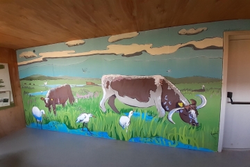 Alison Jacobs finished mural (NT).jpg